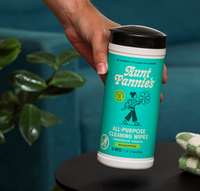 A canister of Aunt Fannie's All Purpose Cleaning Wipes in Eucalyptus scent, with a graphic of a character holding a broom and a eucalyptus plant in the background.