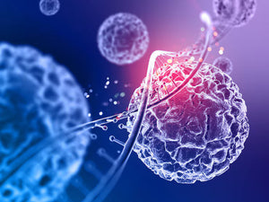 Environmental Toxins and Cancer Risk: What You Can Actually Control