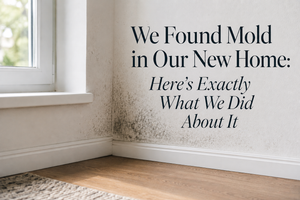 We Found Mold in Our New Home. Here's Exactly What We Did About It.