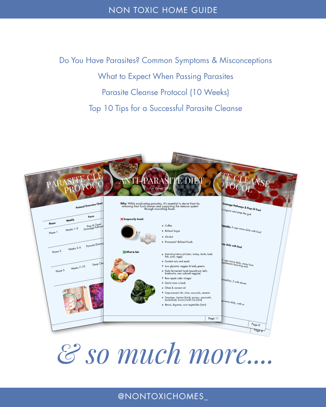 Pages from a non-toxic home guide book on parasites with images of food and text.
