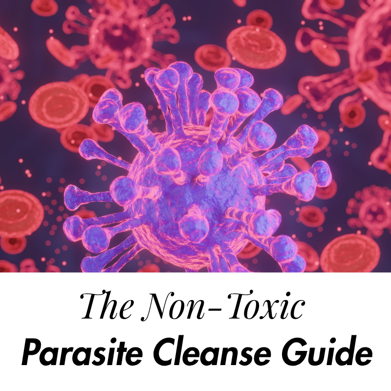 The Non-Toxic Parasite Cleanse Guide