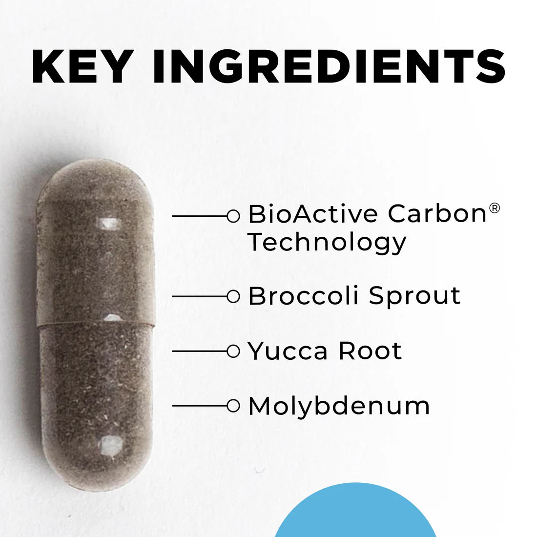Capsule on a white background with text "Key Ingredients" listing BioActive Carbon Technology, Broccoli Sprout, Yucca Root, and Molybdenum. Clean and informative tone.