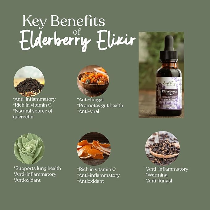 Key benefits of Elderberry Elixir with images and text on a green background
