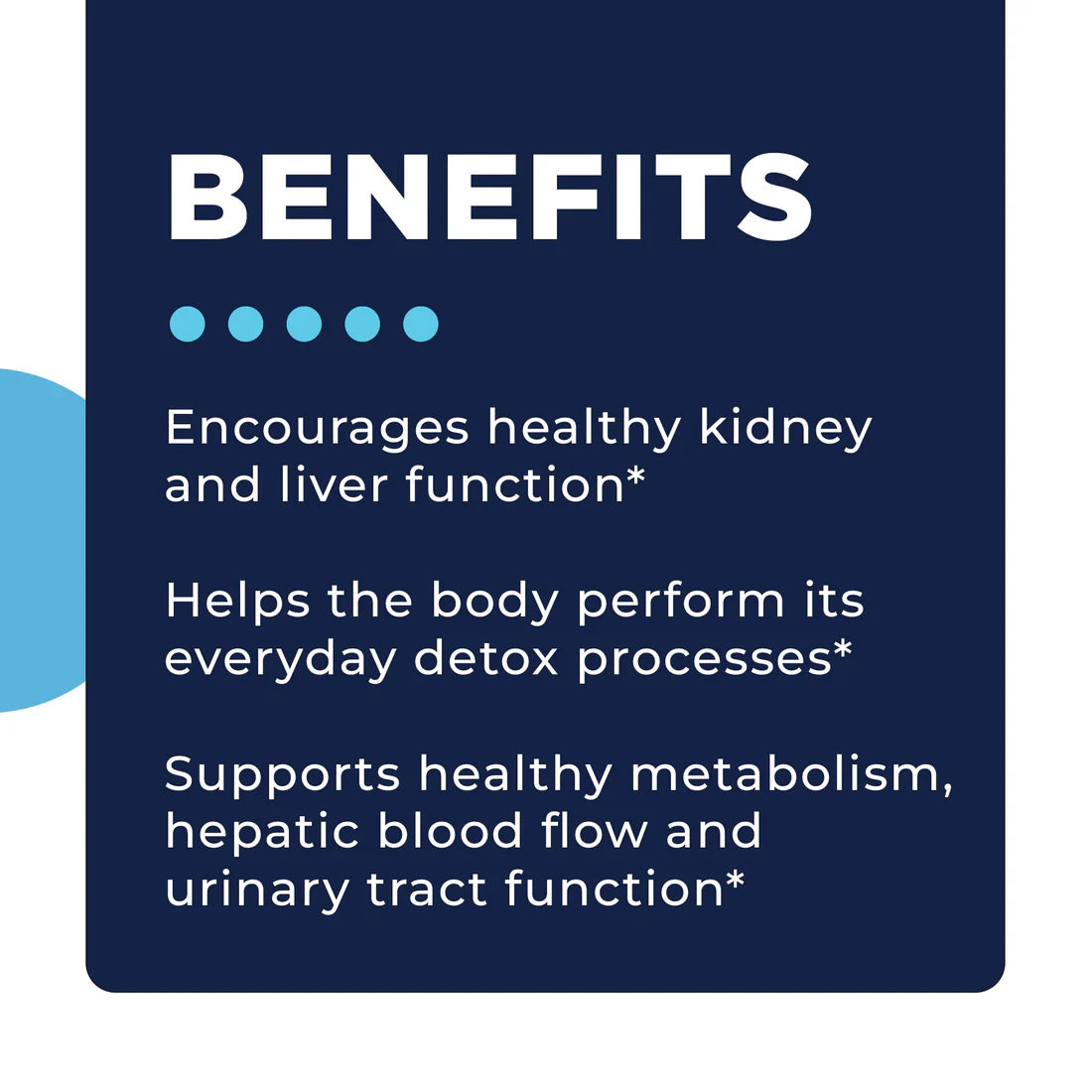 Navy background with the word 'BENEFITS' in bold white. Lists benefits: kidney and liver health, detox aid, metabolism, blood flow, urinary function.