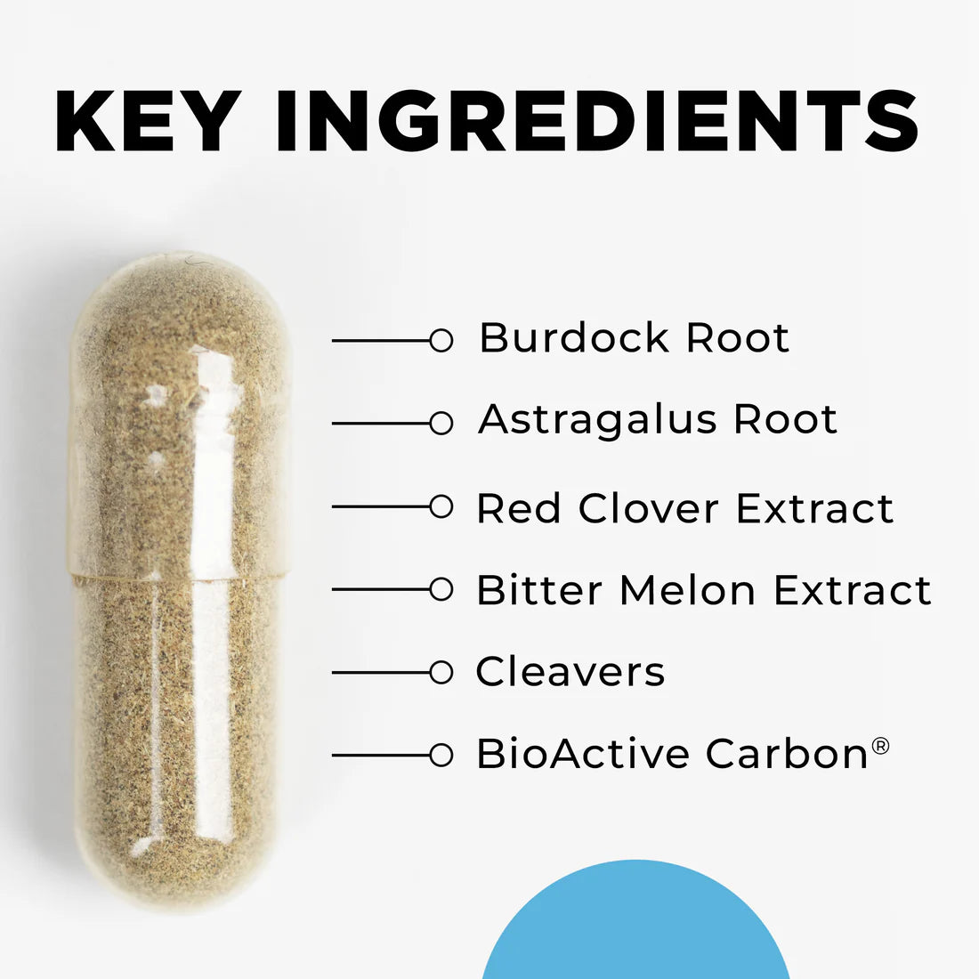 Transparent capsule with powdered contents next to text listing key ingredients: Burdock Root, Astragalus Root, Red Clover Extract, Bitter Melon Extract, Cleavers, BioActive Carbon.