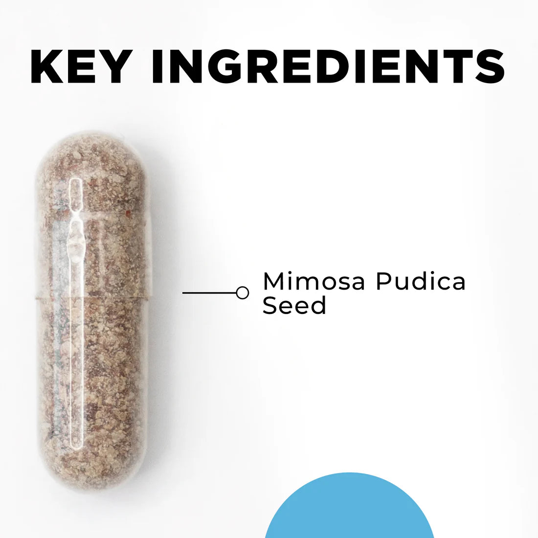 Capsule containing Mimosa Pudica seed on a white background, labeled "Key Ingredients." The image conveys a clean, informative tone.