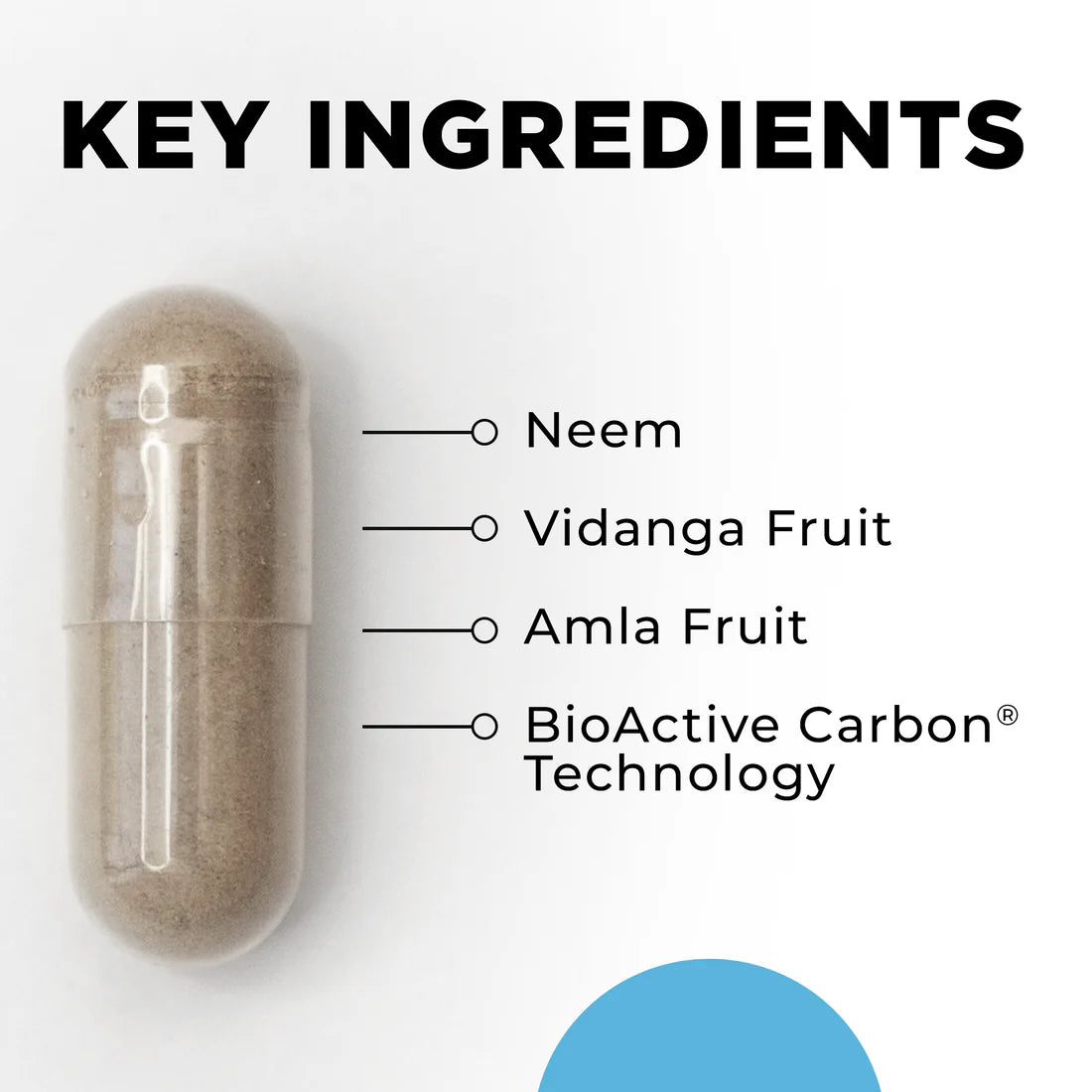 A capsule with brown powder displayed beside a list of ingredients: Neem, Vidanga Fruit, Amla Fruit, and BioActive Carbon Technology. Clean, informational tone.