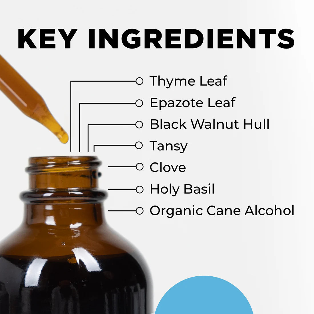 Open amber bottle with a dropper, labeled "Key Ingredients" listing thyme, epazote, walnut hull, tansy, clove, holy basil, and organic cane alcohol. Clean design.