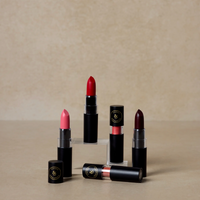A collection of Nourishing Lipsticks in various shades, displayed in individual tubes and a few swatches on a surface with a neutral background.