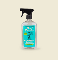 A spray bottle labeled 'Hunt Fannies All Purpose Cleaner Powered by Vinegar Eucalyptus' with a blue and green design indicating the scent.