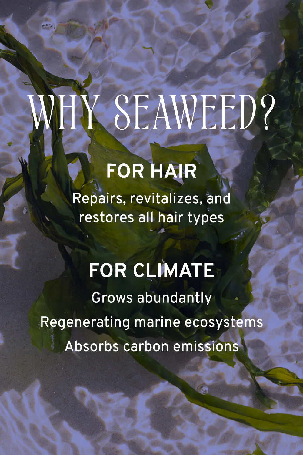 why to use Seaweed.