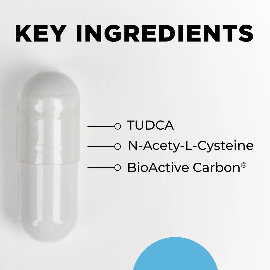 Image featuring a large transparent pill capsule with the text 'Key Ingredients' above. Lines point to ingredients: TUDCA, N-Acetyl-L-Cysteine, and BioActive Carbon®. A blue circle is partially visible at the bottom right.
