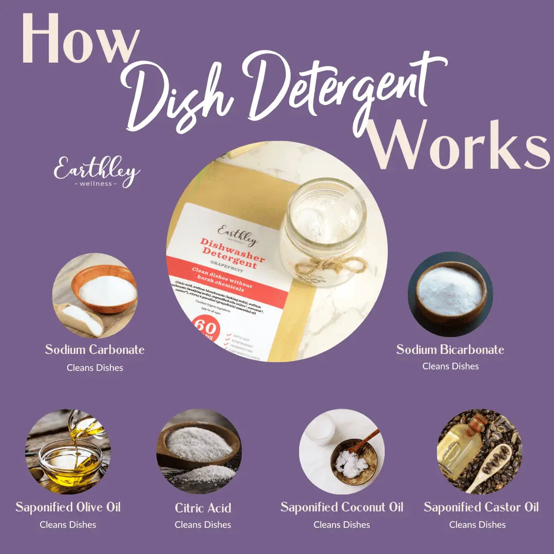 Diagram showing how dish detergent works with Earthley brand products on a purple background.
