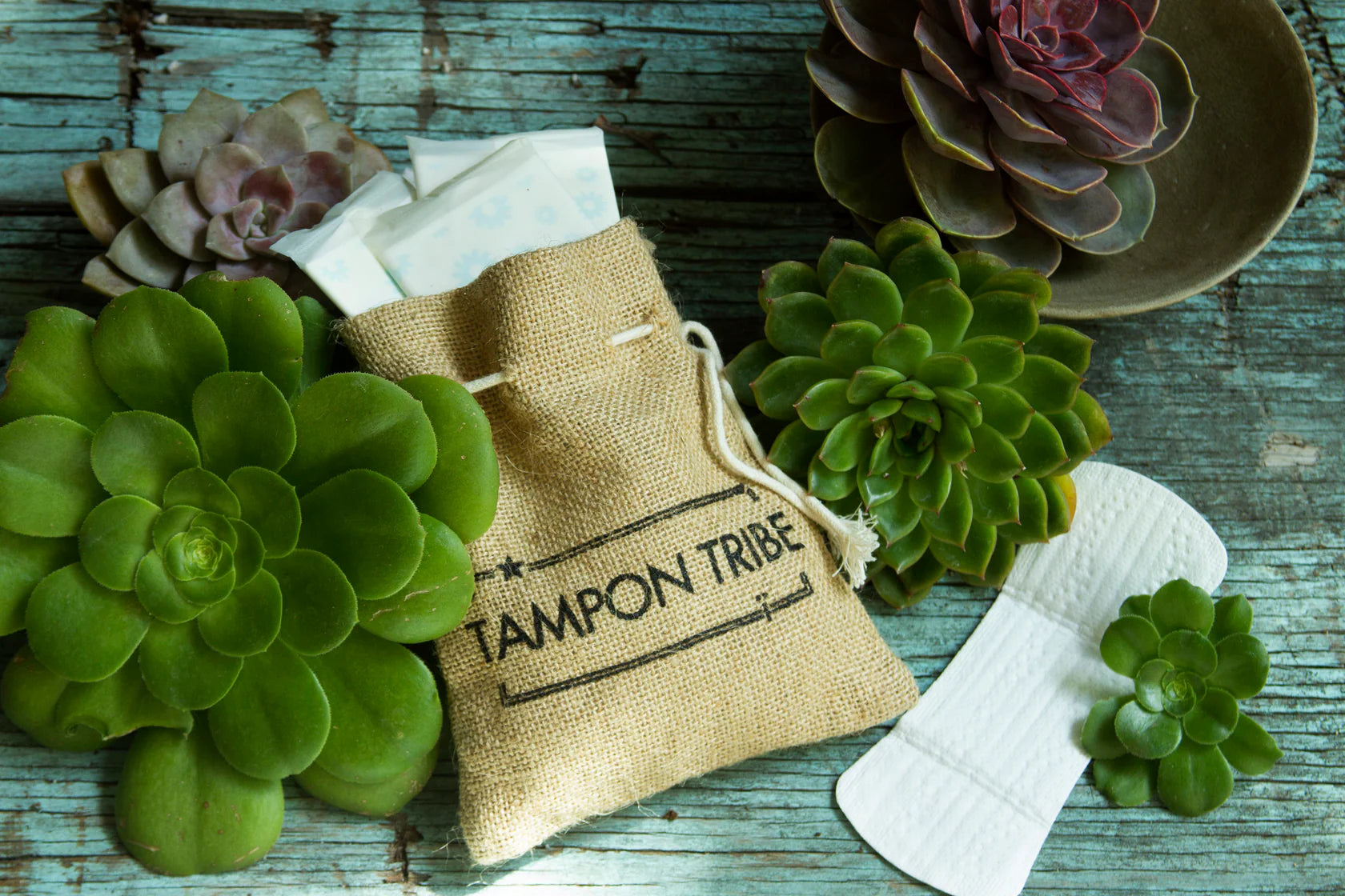 Tampon Tribe product with succulents on a wooden surface