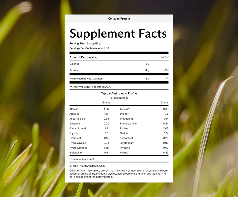 Supplement facts label for collagen protein with a blurred green background