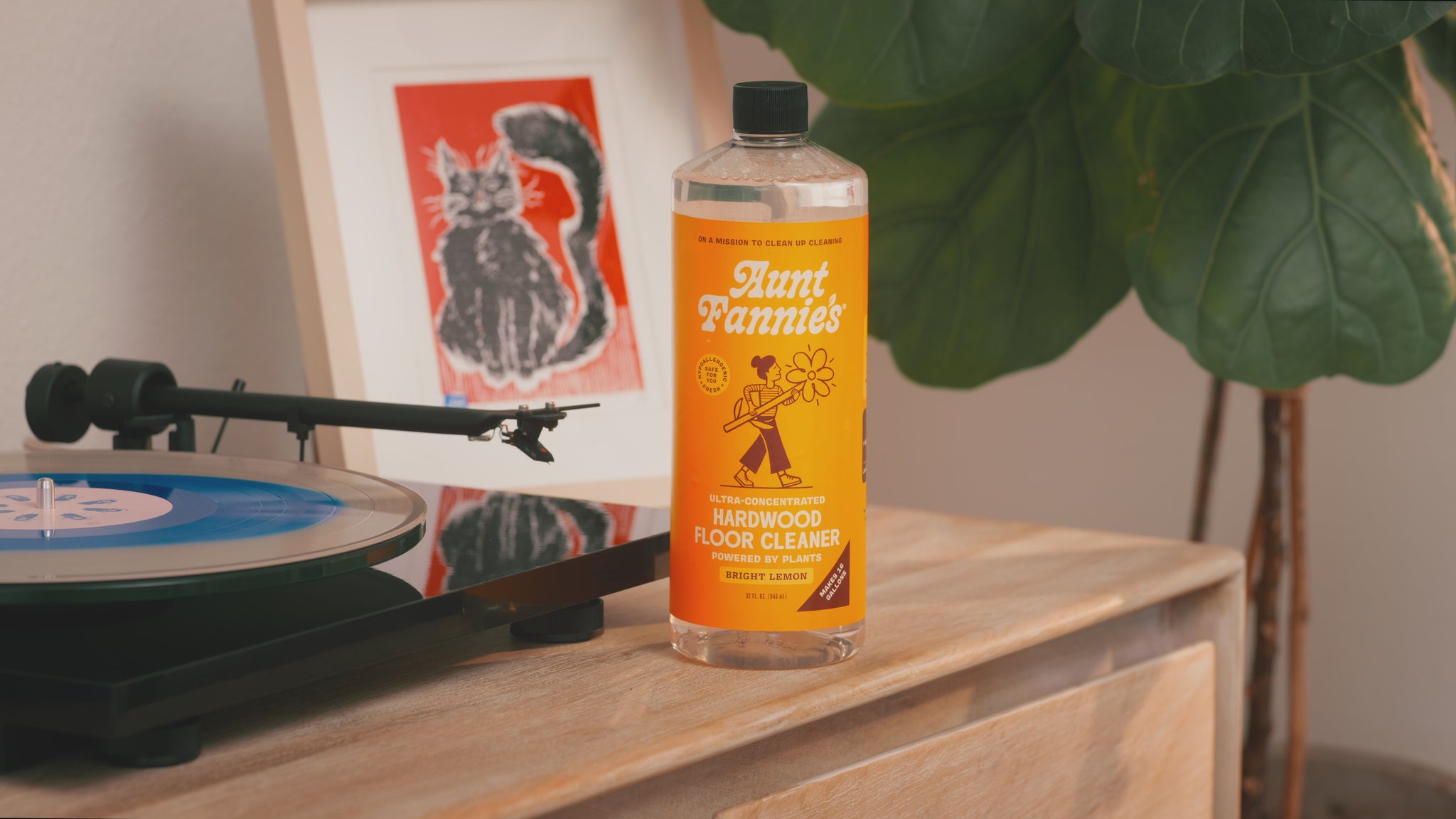 Aunt fannie's Hardwood floor cleaner video